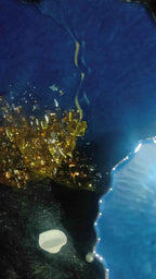 Blue Epoxy Resin art coasters | Premium resin coaster & tray - Pacific Resin Art